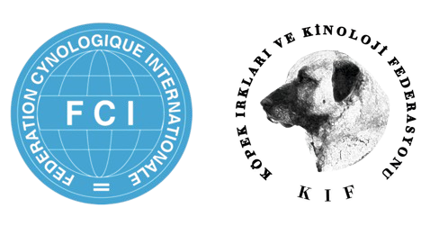 KIF - KÖPEK IRKLARI VE KİNOLOJİ FEDERASYONU