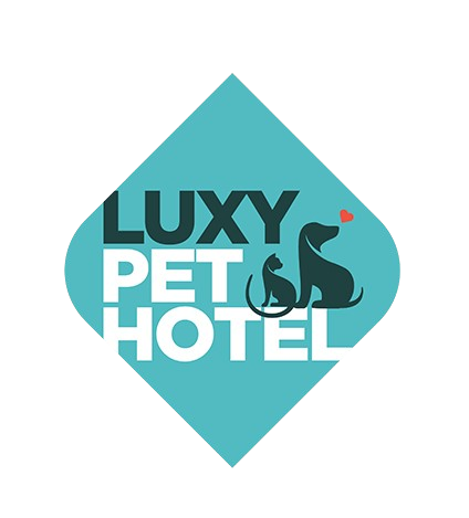 LUXY PET HOTEL
