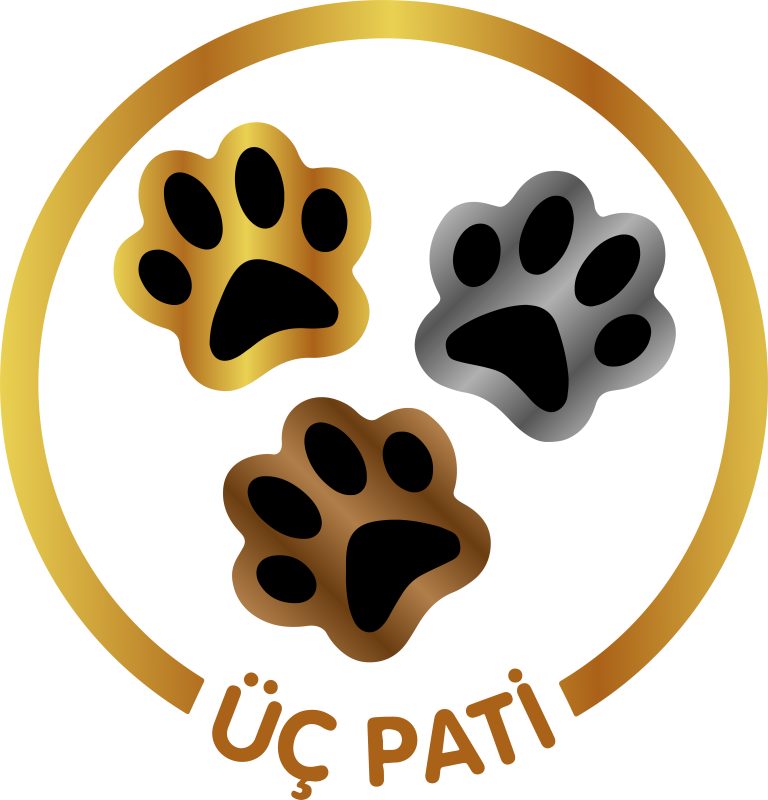 ÜÇPATİ / CELİ MEDYA